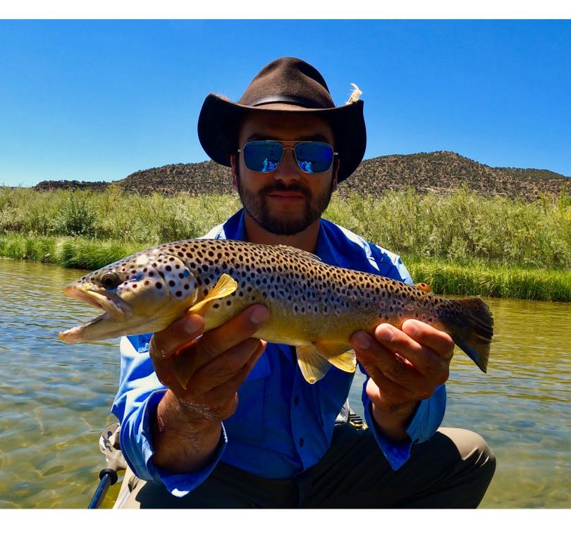 Beautiful Brown Trout
