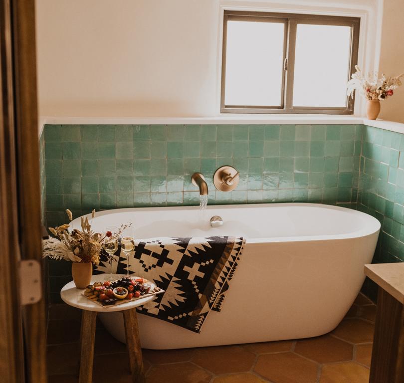 Coyote Suite