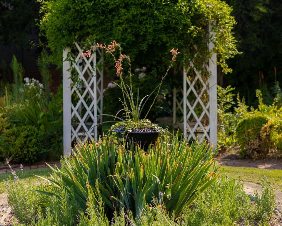 Parterre Garden