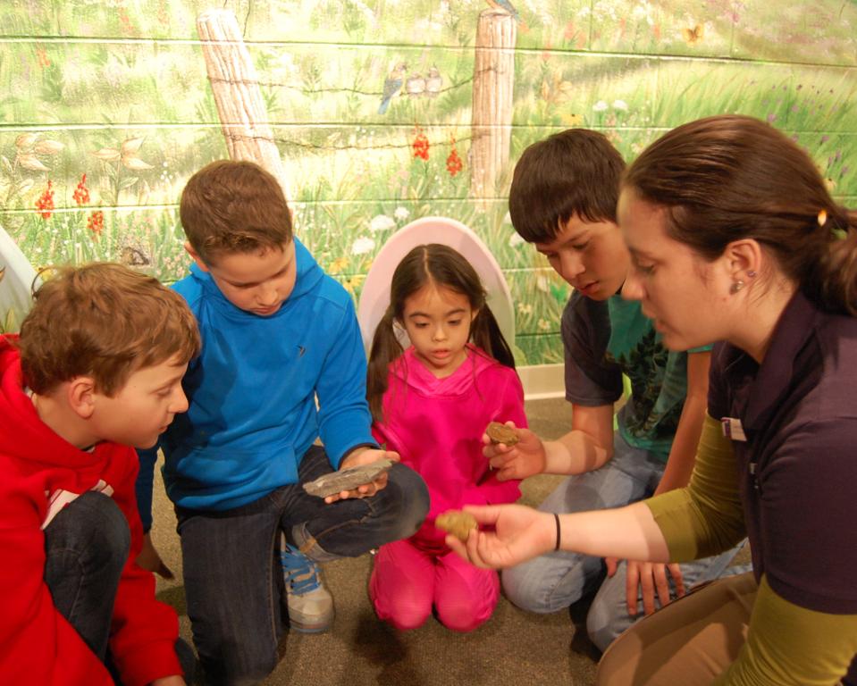 Delaware Museum of Nature & Science