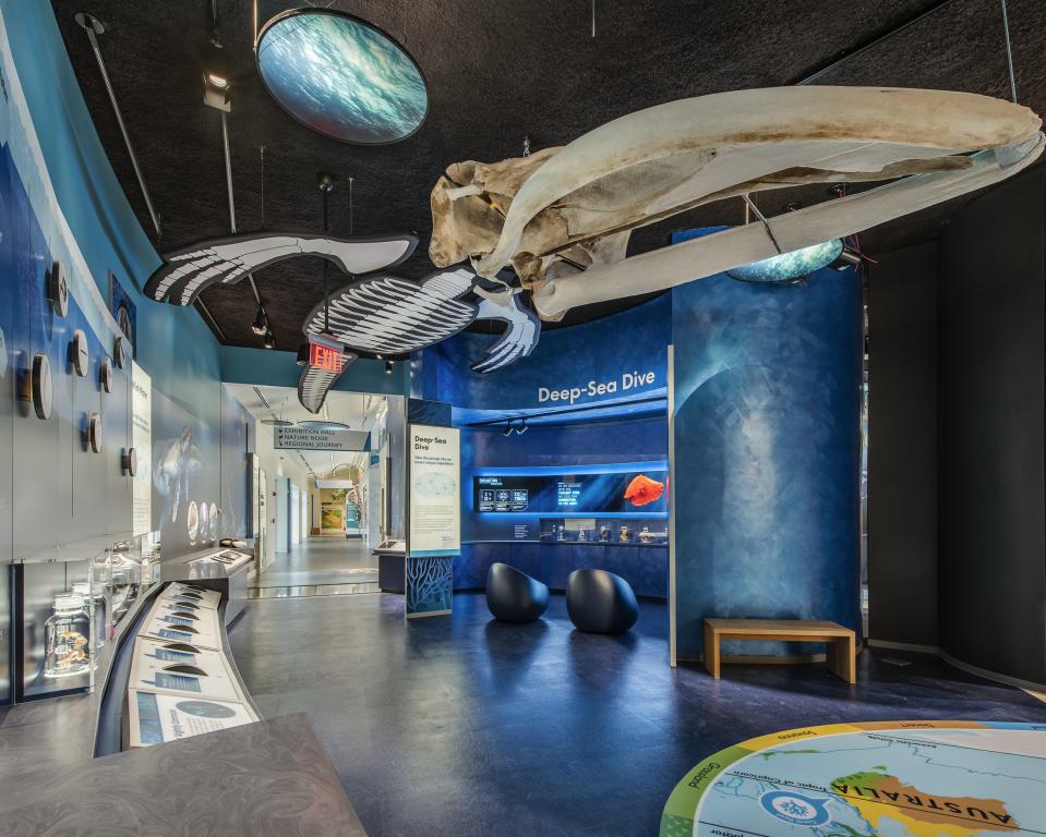 Delaware Museum of Nature & Science