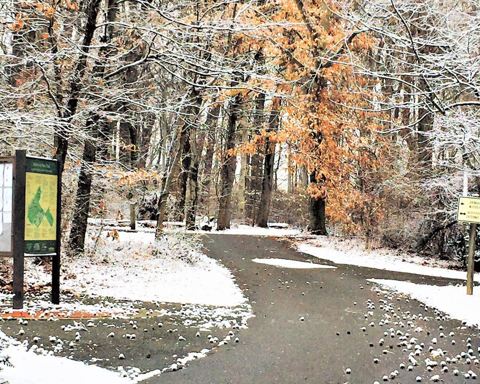 Snowy day along the trail.