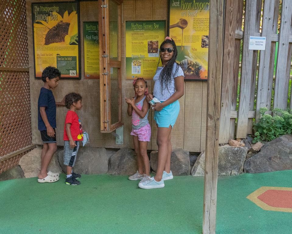 Fun at the bee exhibit