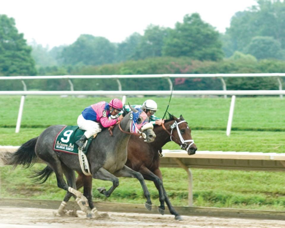 Casino at Delaware Park