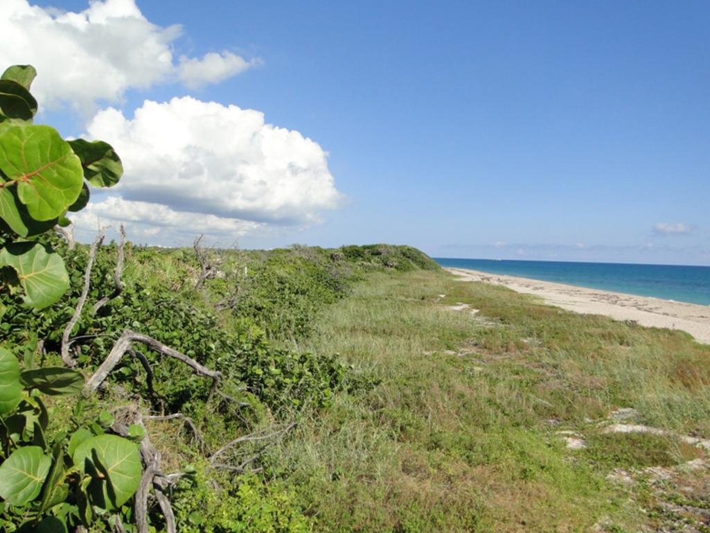 MacArthur_Beach_State_Park