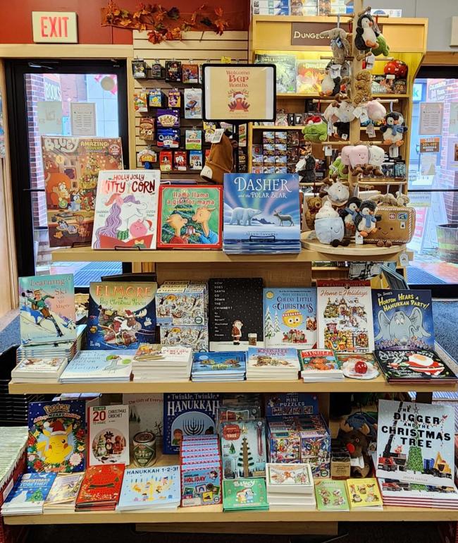 Little Village Toy & Bookshop - Christmas Display