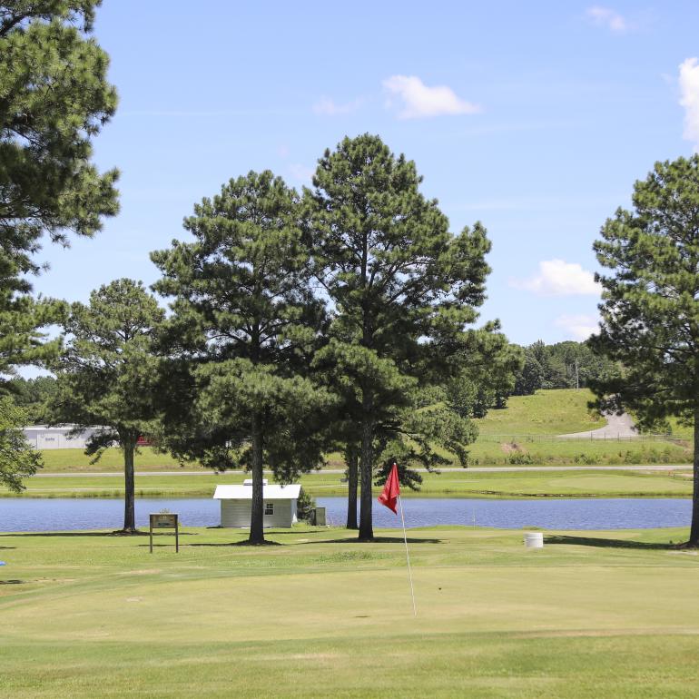 Haleyville Country Club