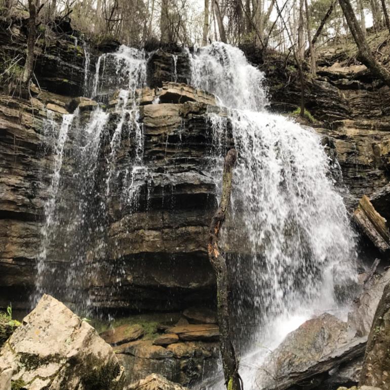 bethel springs nature preserve on the land trust