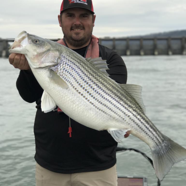 Smith Lake Striper with Leon Brewington