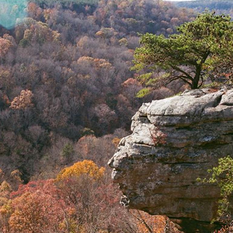 Buck's Pocket State Park