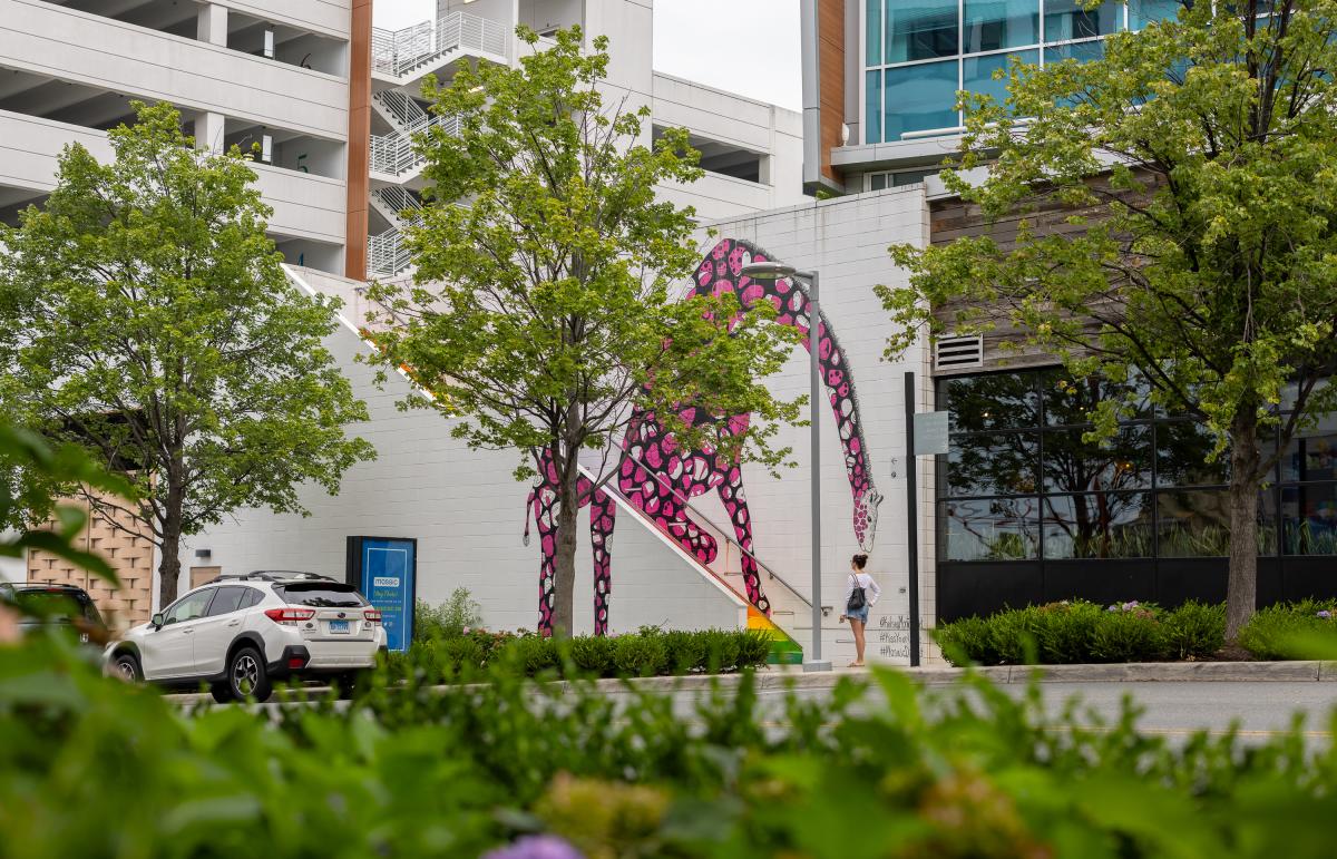 April Greer, Mosaic District, OBVFX