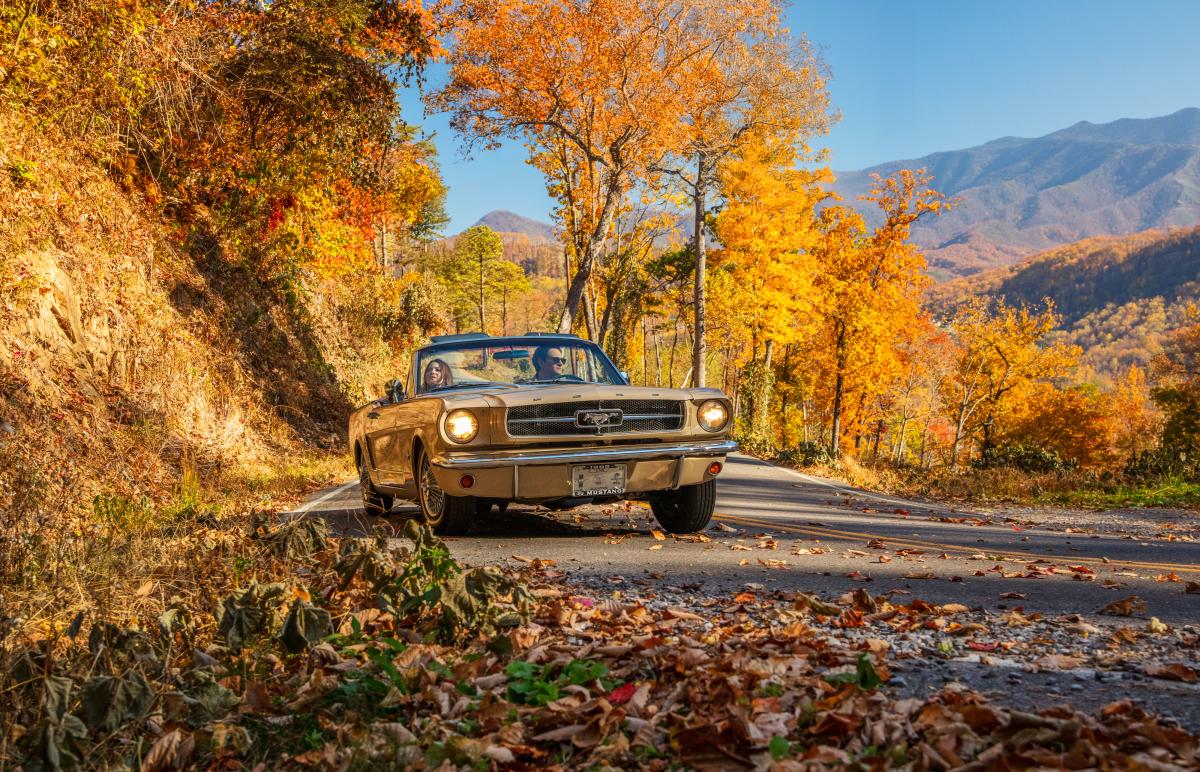 Fall car