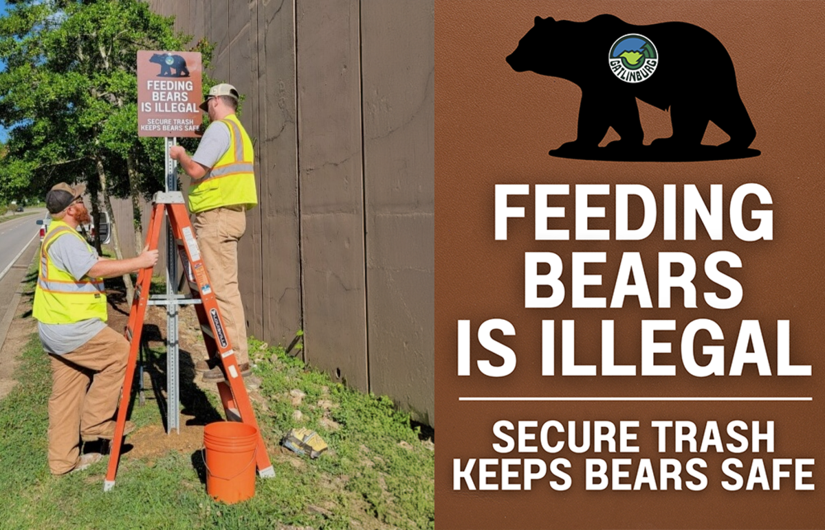 bear signage
