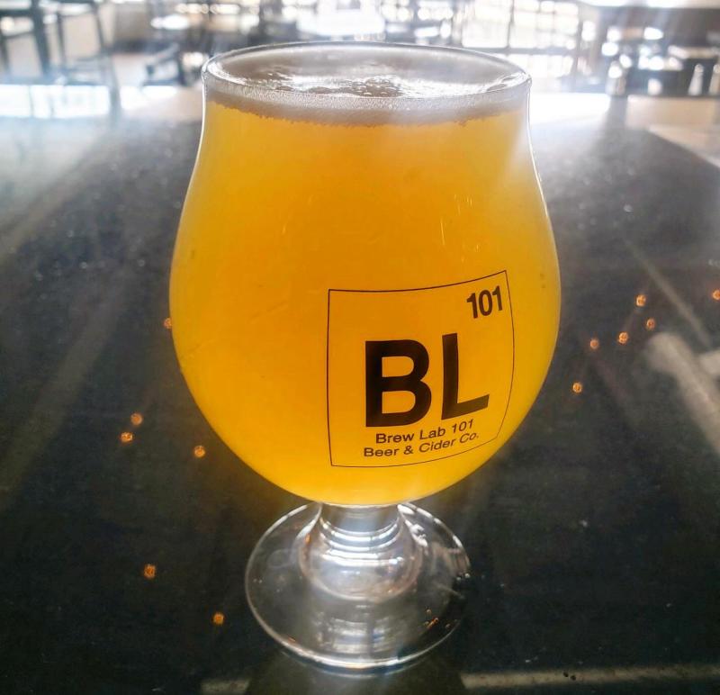 A glass of beer from Brew Lab 101.
