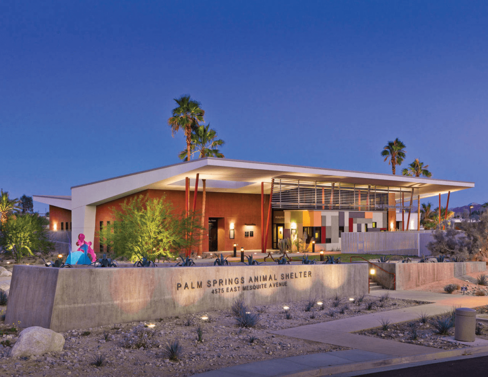 palm springs animal shelter