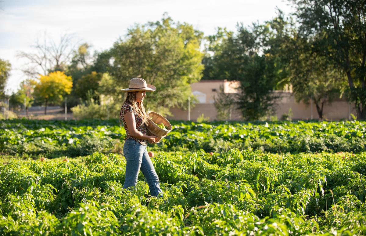 Big Jims at Big Jim Farms, in Los Ranchos de Albuquerque, New Mexico Magazine