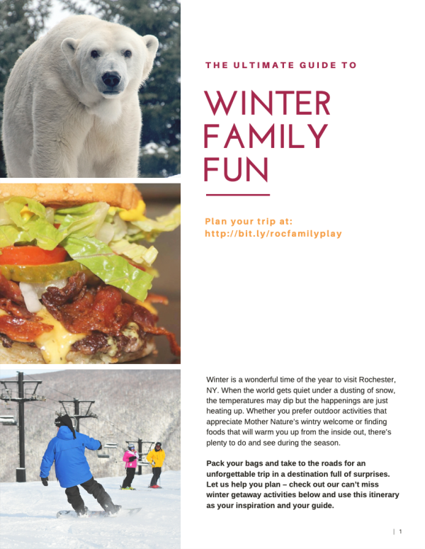 Rochester Family - Winter Family Fun