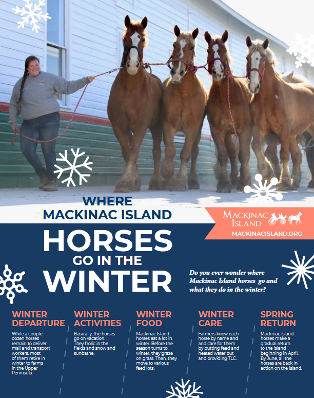 Infographic with details on where Mackinac Island horses go in winter