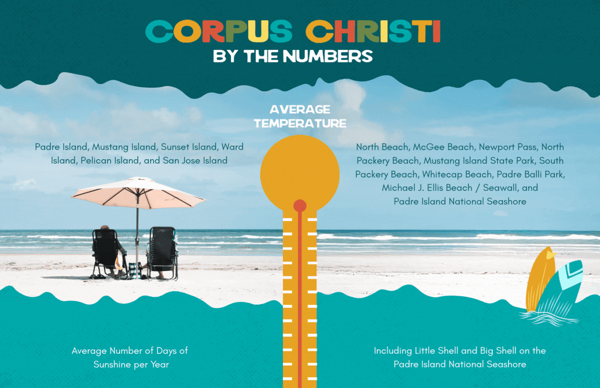 CC Info | Corpus Christi Info | By The Numbers