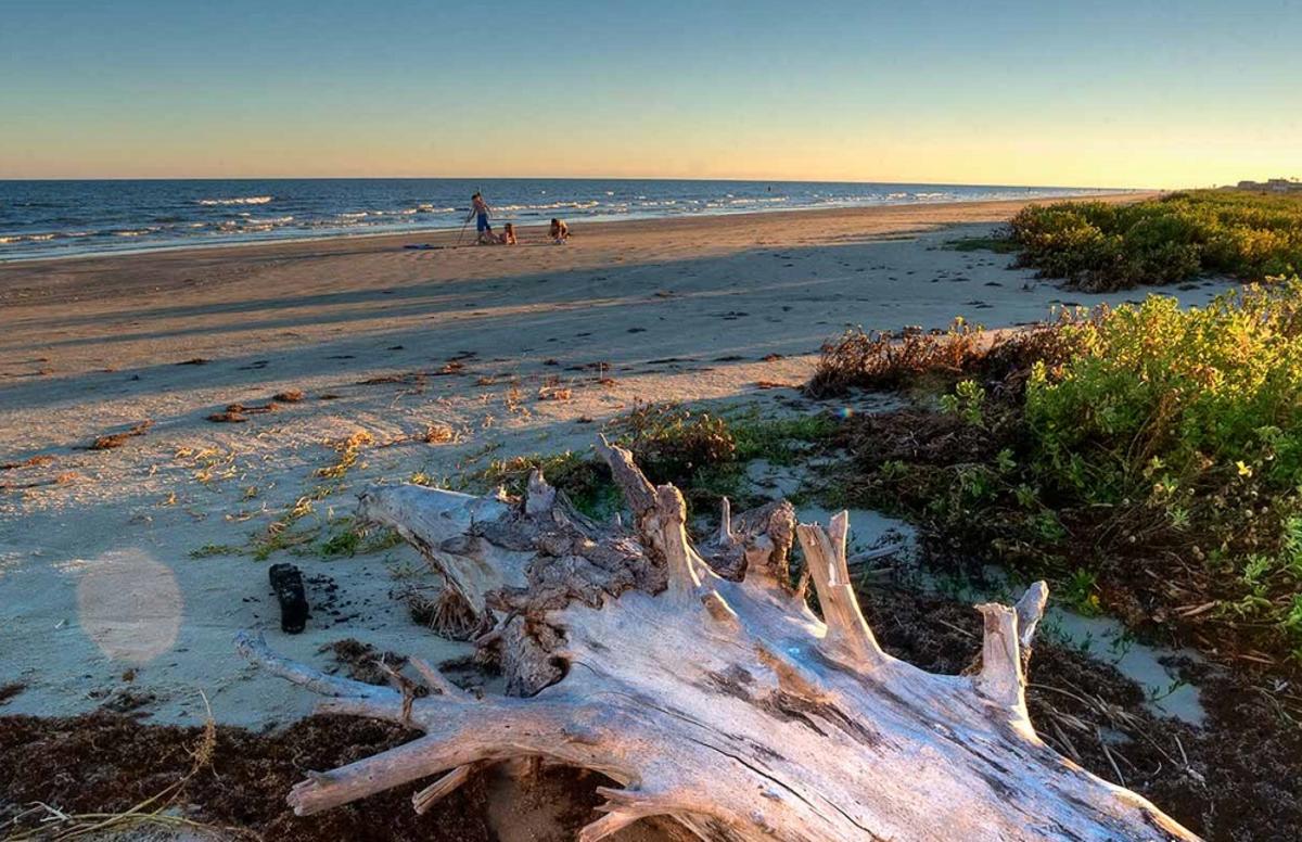 Galveston Island State Park