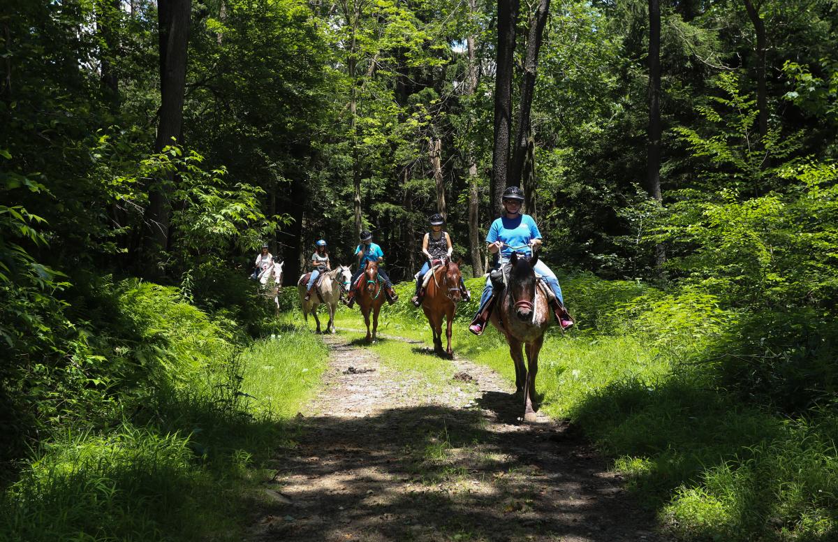 Seven Springs Stables offers guests peaceful trail rides and a unique perspective of the resort property.