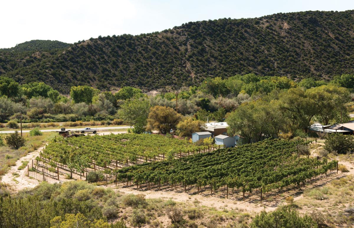 Black Mesa Winery