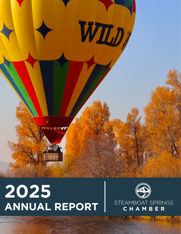 annual report