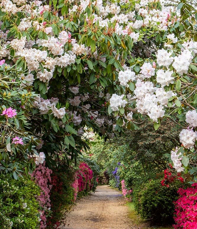 Exbury Gardens - Spring