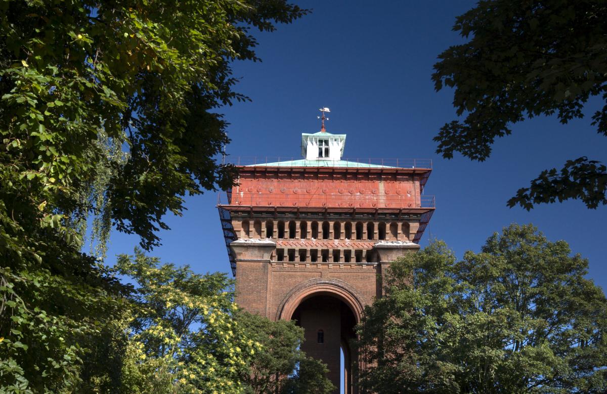 Jumbo Water Tower through the trees