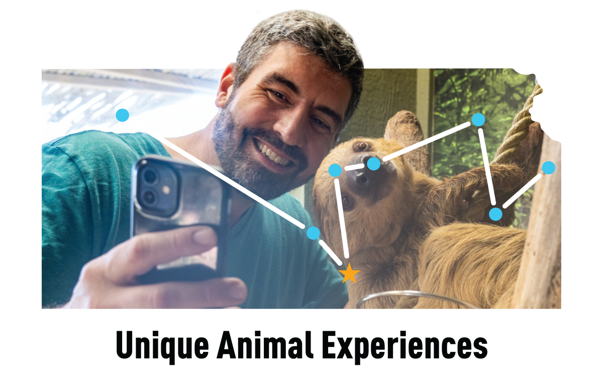 Kansas Constellations - Unique Animal Experience