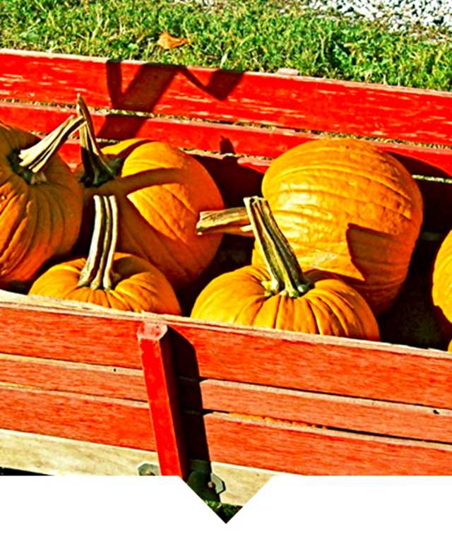 8 Things To Do In Hamilton County This Fall