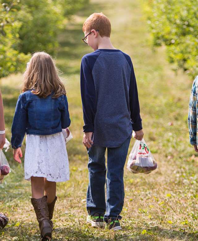 Family of 4 walking through an apple orchard