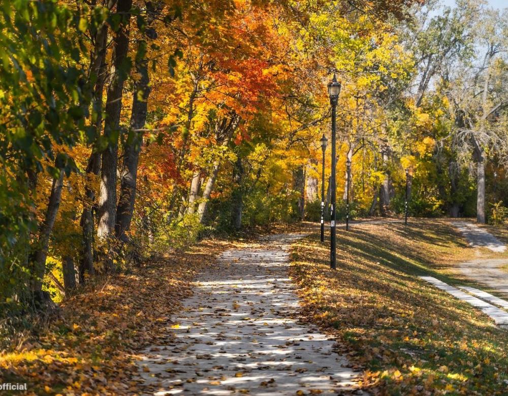 View from sidewalk facing the pathway ahead at Frog Island Park during a Fall day. Leaves are sprinkled on the paved pathway with shade from the trees reflecting on the sidewalk.