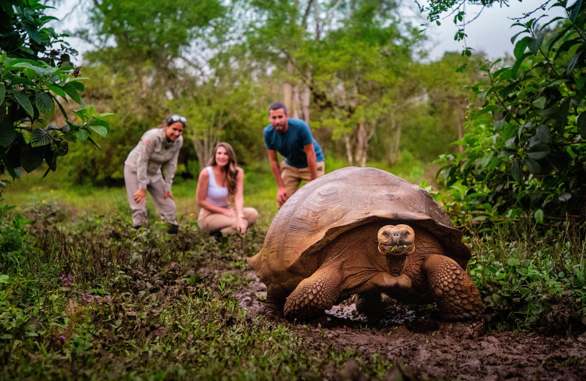The Galapagos Islands: Sail away with pride