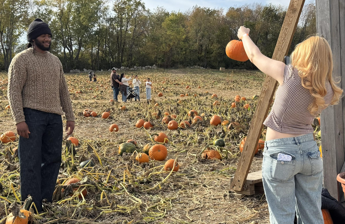 Dull's Pumpkin Harvest