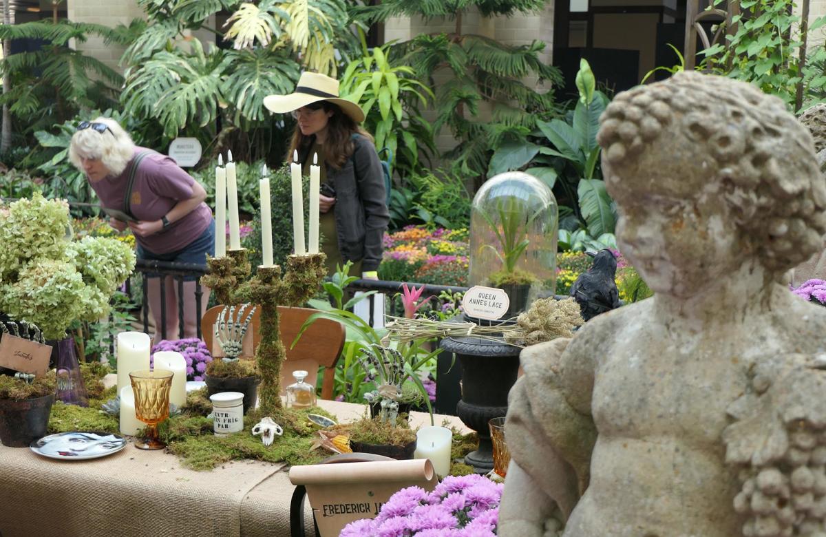The wicked plants exhibit at Lauritzen Gardens.