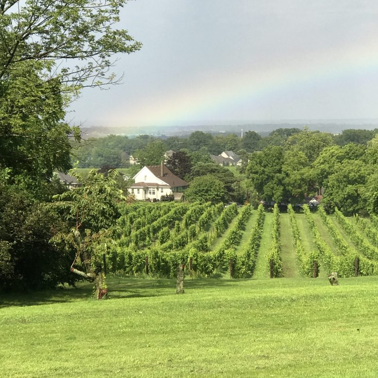 Organized Crime Winery