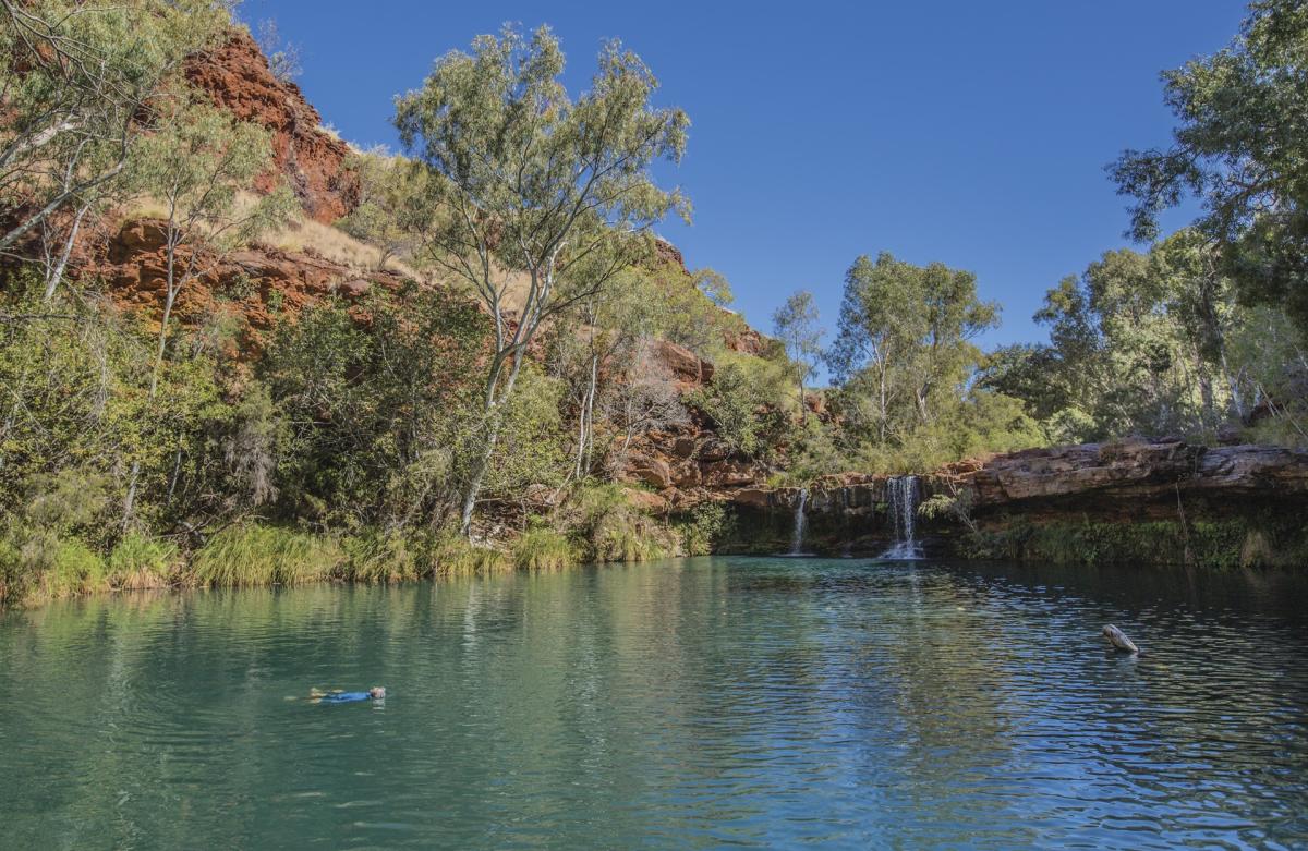 Swimmers in Jubura (Fern Pool) in Karijini National Park