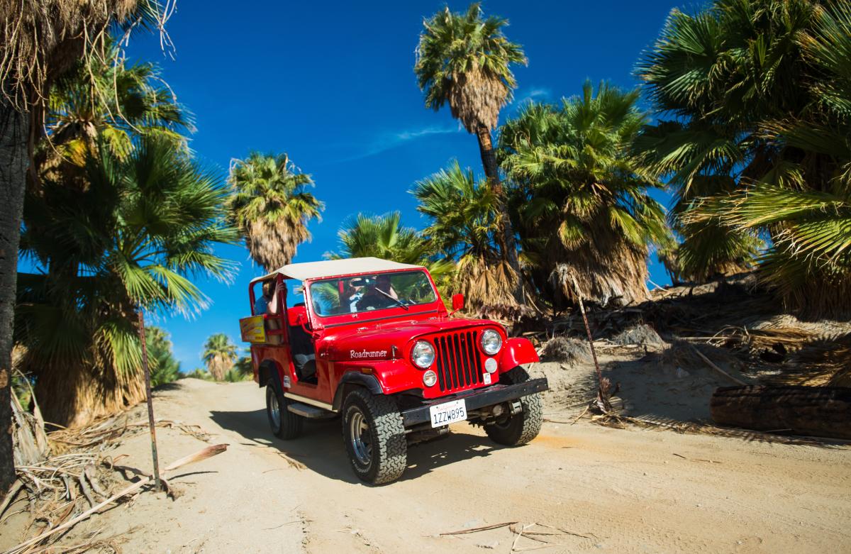 Desert Adventures Red Jeep Tours