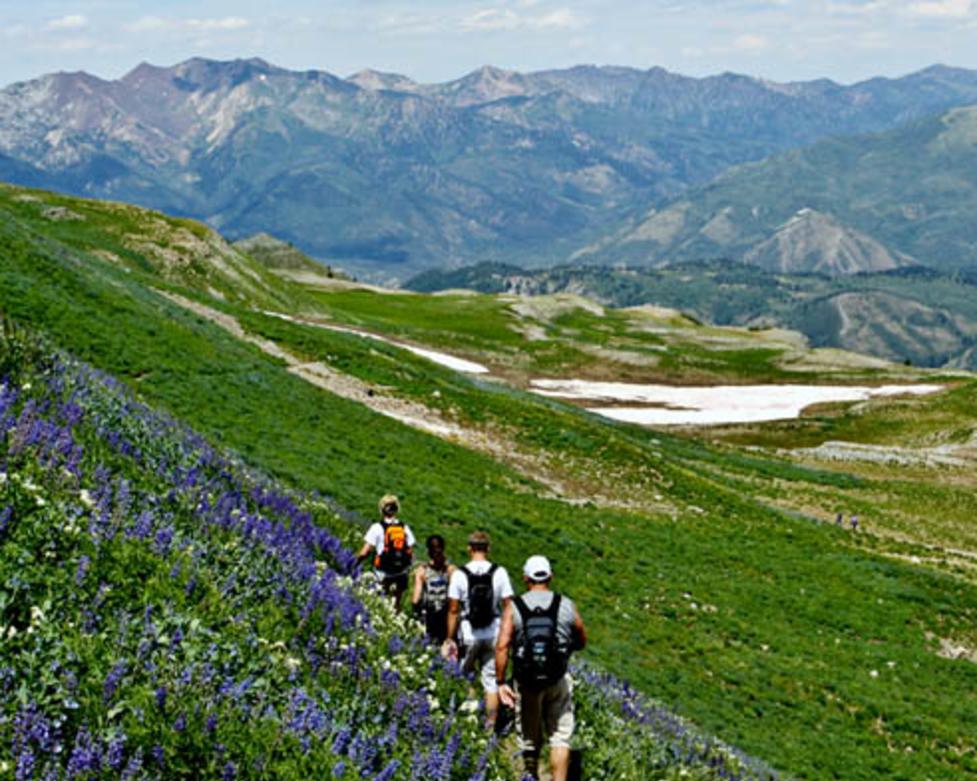 Alpine Loop Hiking Explore Utah Valley