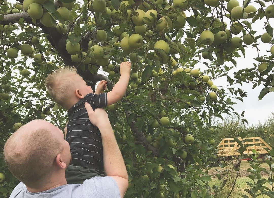 Beasley's u-pick apples horizontal