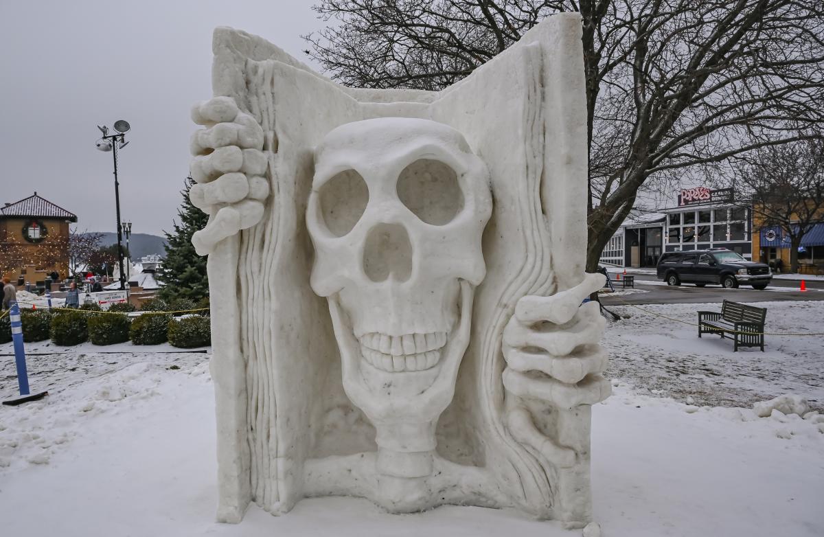 WF25_Peoples Choice_Book of Souls_WI1_Snowblind