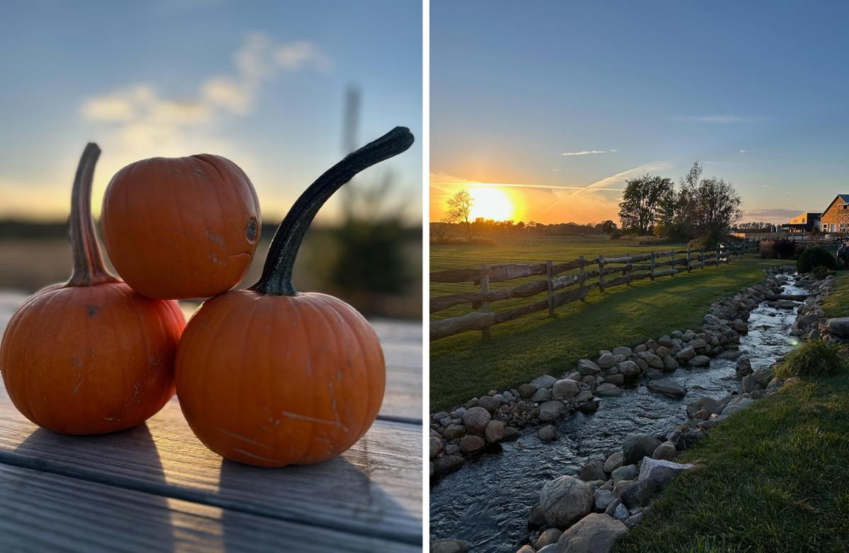 Fair Oaks Farms pumpkins and fall