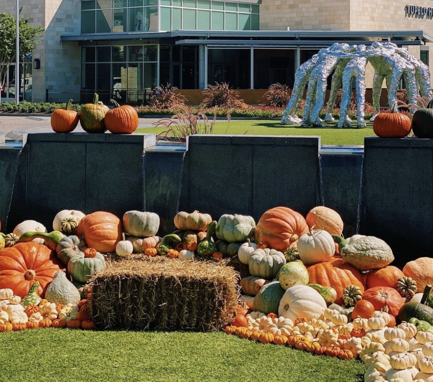 Harvest at The Star