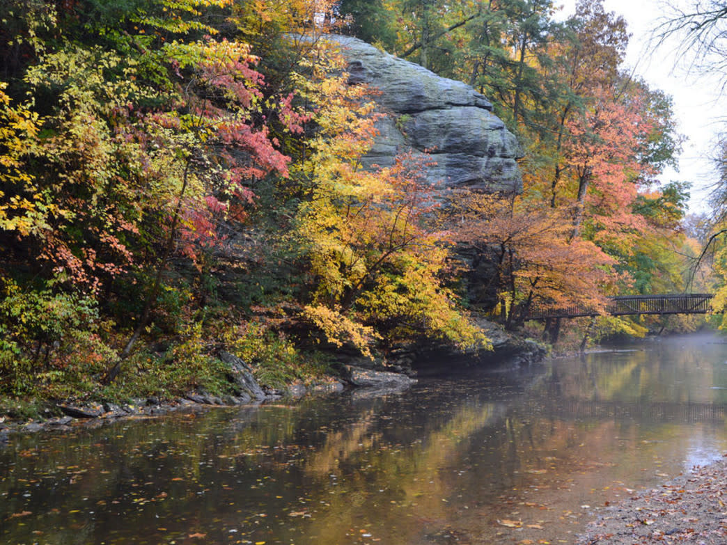 Lorimer Park