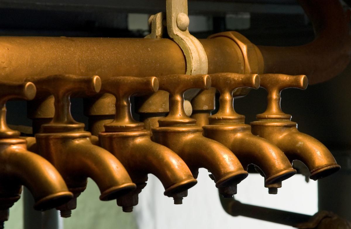 Taps, Palmers Brewery