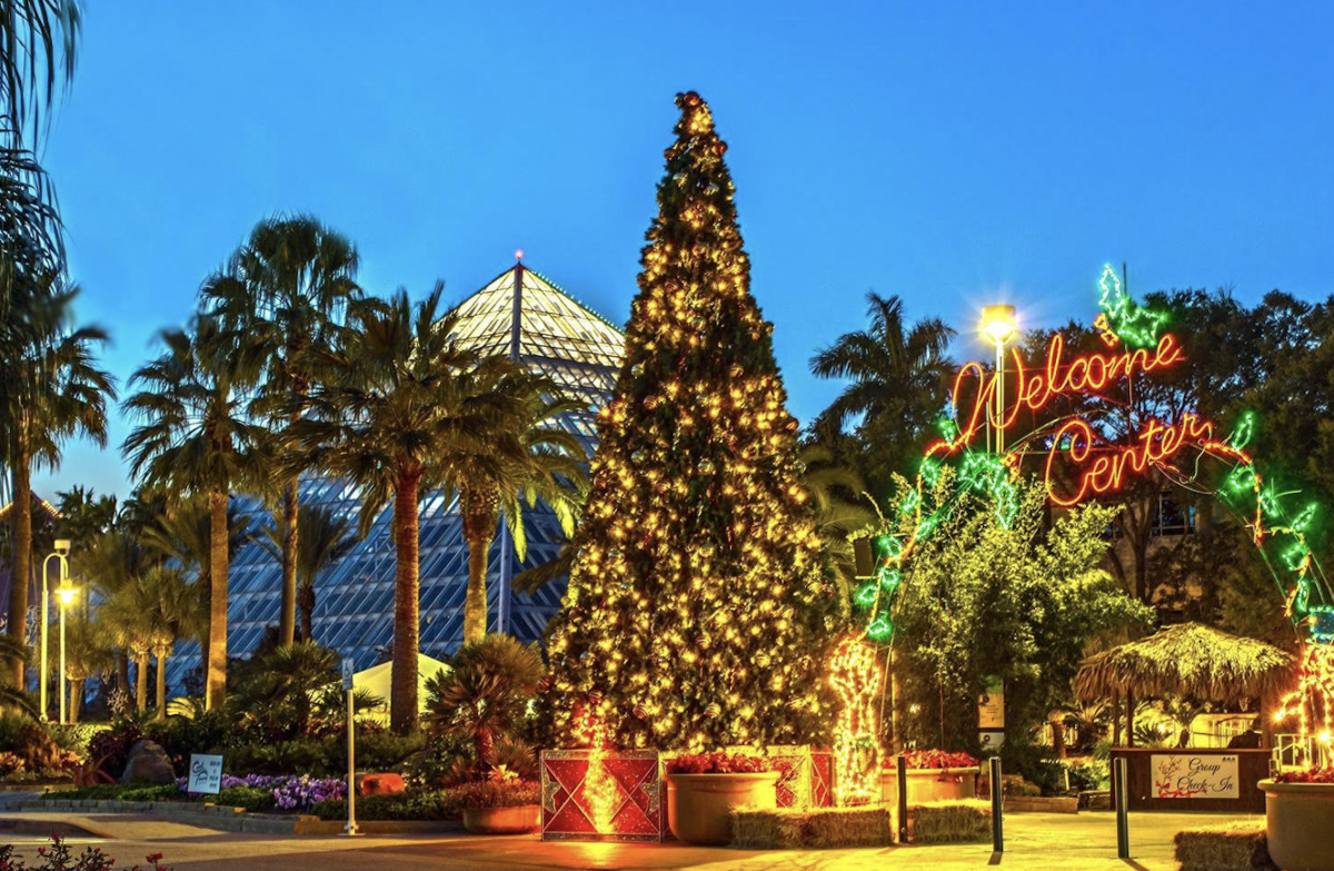 Moody Gardens - Holidays in the Gardens