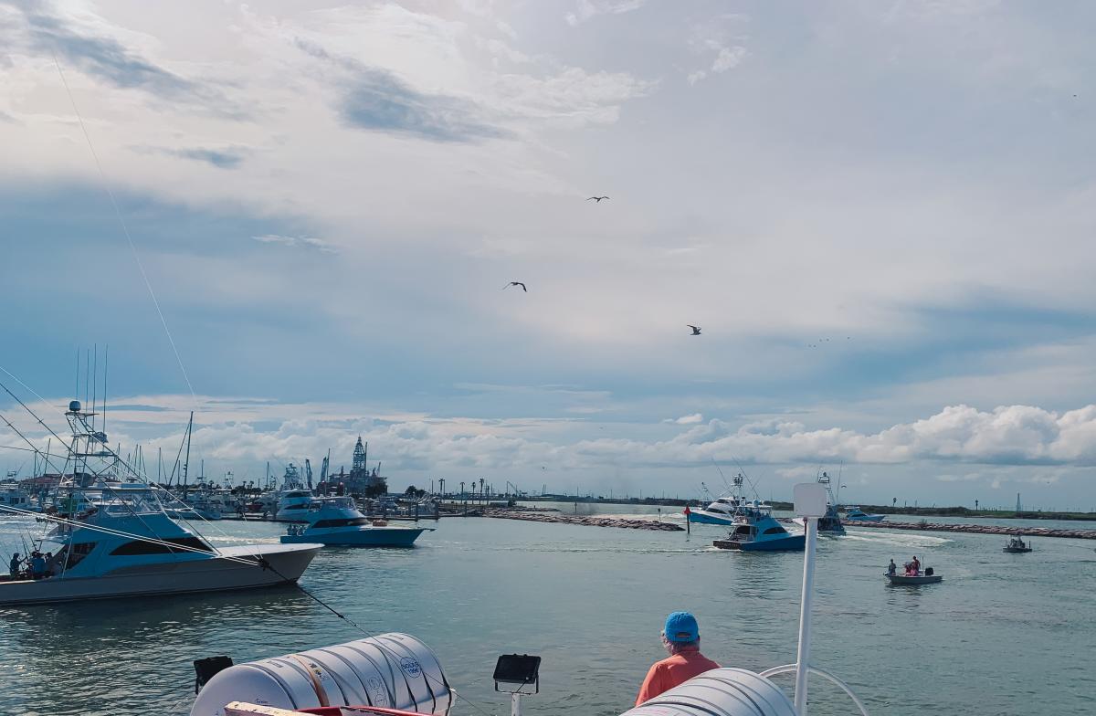 Large fishing boats leaving from a marina.