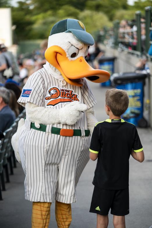 Long Island Ducks