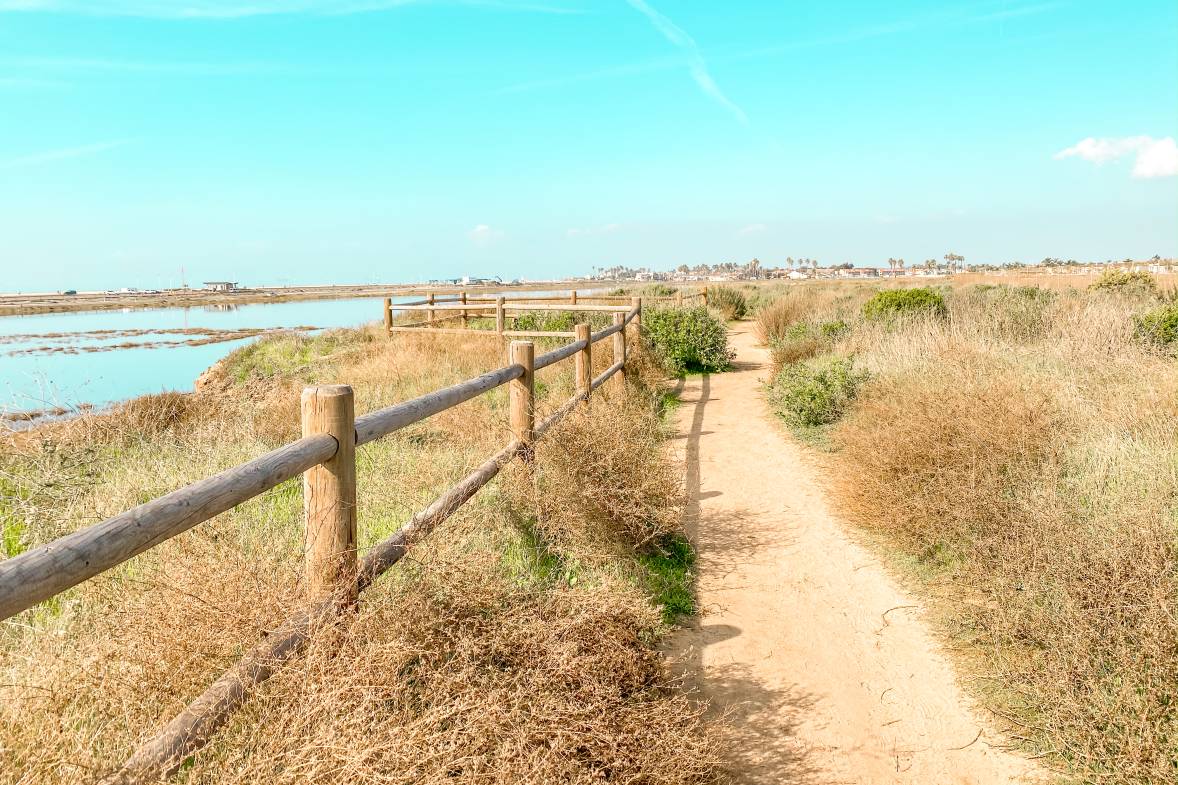 Huntington Beach Bolsa Chica Ecological Reserve